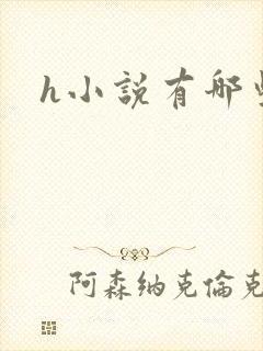 h小说有哪些封面