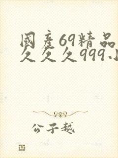国产69精品久久久久999小说