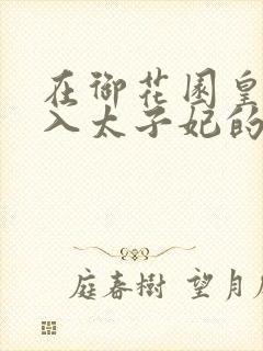 在御花园皇上进入太子妃的小说