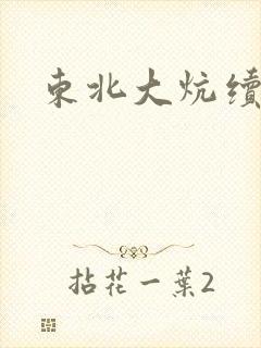 东北大炕续集