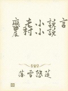 恋老小说言情网农村小说