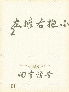 左拥右抱小1V2封面