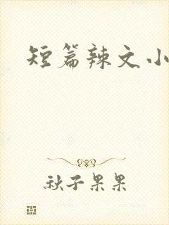 短篇辣文小说