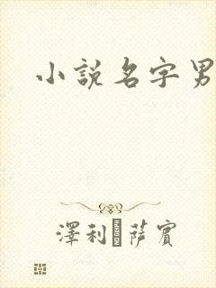 小说名字男生