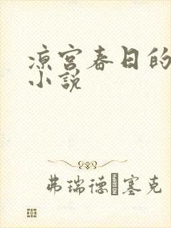 凉宫春日的忧郁小说