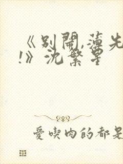 《别闹,薄先生!》沈繁星