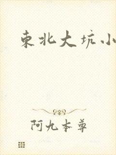 东北大坑小说