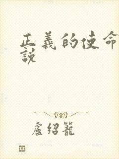 正义的使命 小说