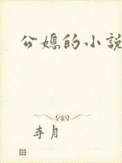 公媳的小说