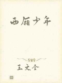 西厢少年封面