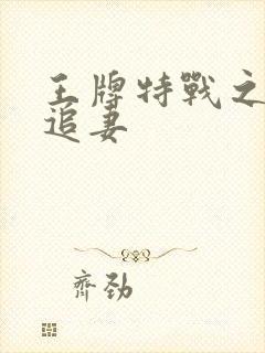 王牌特战之军少追妻