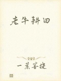 老牛耕田