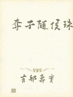 夺子随侯珠封面