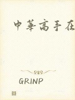 中华高手在异世