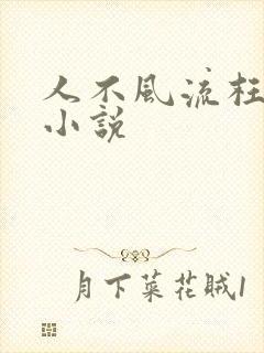 人不风流枉少年小说