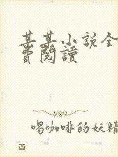 某某小说全文免费阅读