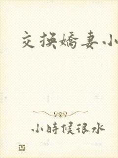 交换娇妻小说