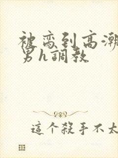 被脔到高潮的直男h调教