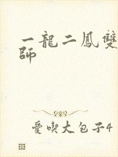 一龙二凤双飞老师封面