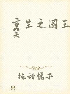 重生之国王的微笑