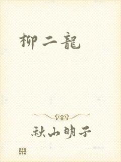 柳二龙封面