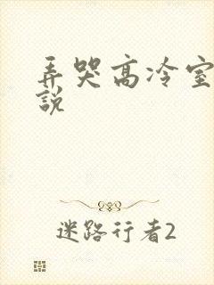 弄哭高冷室友小说