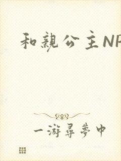 和亲公主NPC封面