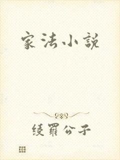 家法小说