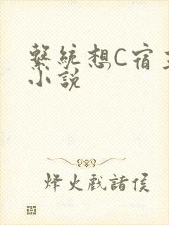 系统想C宿主的小说