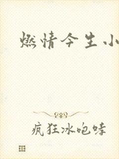燃情今生小说