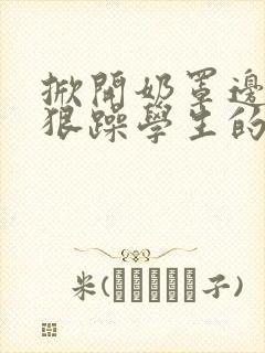 掀开奶罩边躁狠狠躁学生的小文字