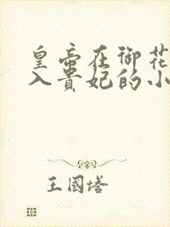 皇帝在御花园进入贵妃的小说封面