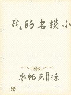 我的名模小娇妻封面