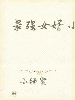 最强女婿 小说封面