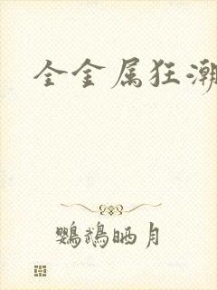 全金属狂潮小说