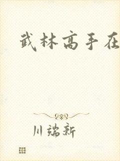 武林高手在异界