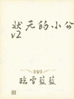 状元的小公主1v2封面