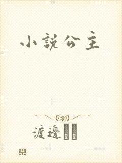 小说公主封面