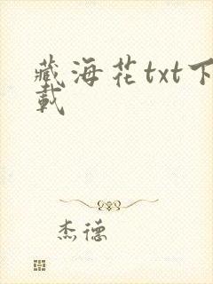 藏海花txt下载