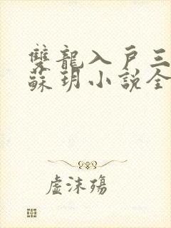 双龙入户三人行苏玥小说全文阅读