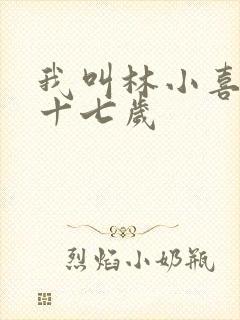我叫林小喜今年十七岁