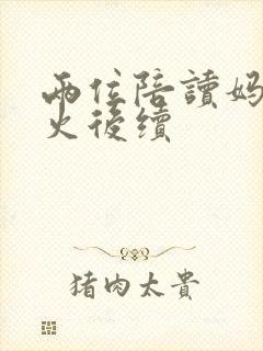 两位陪读妈妈灭火后续封面