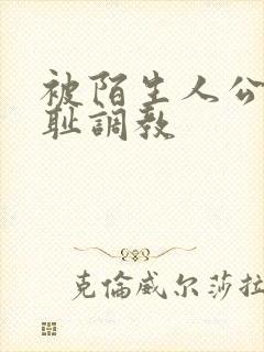 被陌生人公开羞耻调教封面