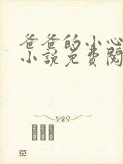 爸爸的小心肝儿小说免费阅读