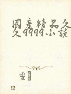 国产精品久久久久9999小说