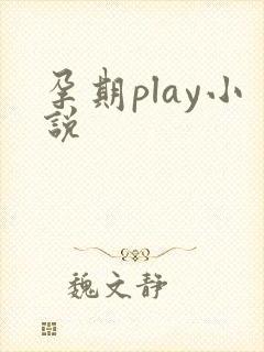 孕期play小说