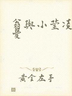 翁与小莹凌晨欢爱封面