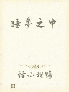睡梦之中封面