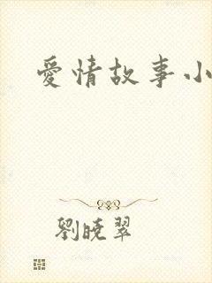 爱情故事小说封面