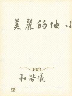 美丽的他 小说